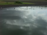 Wildlife Park - 4